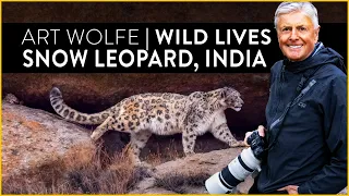 Art Wolfe's Wild Lives | Snow Leopards in Ladakh, India
