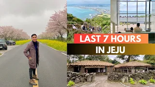 Last 7 Hours in JEJU & Things We Did | Korea Travel Vlog