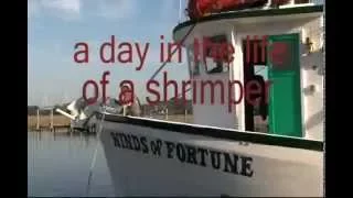 A Day in the Life of a South Carolina Shrimper