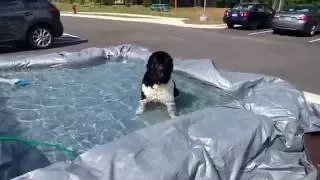 Dethan christens a poor man's pool