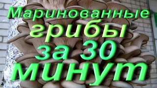 ГОТОВИМ маринованные грибы за 30 минут.