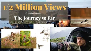 1/2 Million Views 😃🙏 | My Journey | Un-released Footage | No 1 Tip