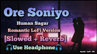 Ore Soniyo || Slowed + Reverb || Human Sagar || Odia LoFi Romantic Song || Ayush - LoFi - OD