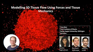 Modelling 3D Tissue Flow Using Forces and Tissue Mechanics | Bruker Light-Sheet Microscopy