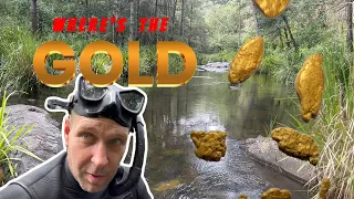 Where's the Gold - 024 - The Drop in - A adventure to a GOLD creek