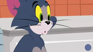 The Tom and Jerry Show - Tuffy Love - Funny animals cartoons for kids