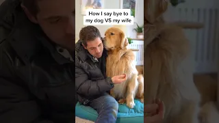 Saying bye to my dog vs my wife 🤣 #dog #cute #funny