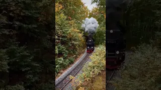 Germany's most beautiful steam train ride 🤩 #train #germany #shorts