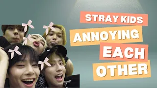 Stray kids ANNOYING Each Other