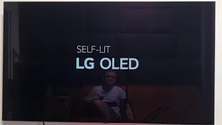 LG OLED BX 2020 BURN IN TEST  4215h   1 YEAR