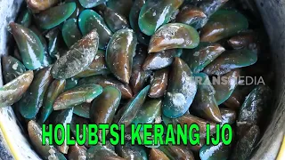 HOLUBTSI KERANG IJO | JEJAK SI GUNDUL (17/07/23)