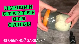 💪Сильный стартер для кулича на РАЗ-ДВА-ТРИ! Превращаем хлебную закваску в основу великолепной сдобы!