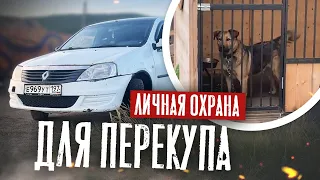 Такого Логана я Давно НЕ ВИДЕЛ! Сюрпризы При Поиске Б/У Авто.