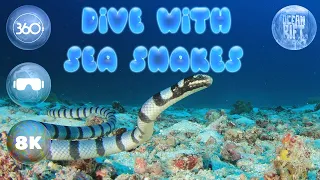🐍 Dive with Sea snakes in 360° 🌊 Ocean Rift VR [8K]
