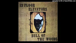 13th Floor Elevators - Bull Of The Woods / 1969