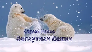 Сергей Носко - Заплутали мишки (кавер-версия)