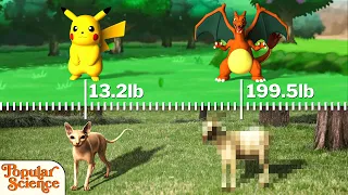 Pokémon vs. Same-Weight Animals - 3D Comparison