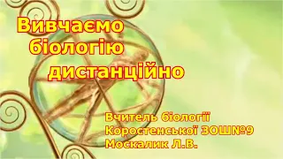 9 клас. Біологія. Еволюція людини. Етапи еволюції людини.