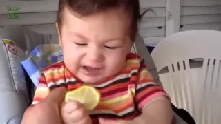 Babies Eating Lemons for the First Time Compilation 2014 NEW HD