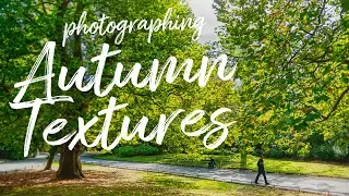 Photographing Autumn Textures (With a Nikon D700)