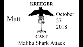 After Action: Malibu Shark Attack