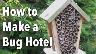 Bug Hotel: How to Make a Home for Beneficial Insects