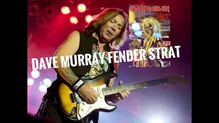 DAVE MURRAY SIGNATURE FENDER STRATOCASTER.