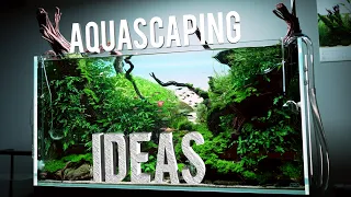 AQUASCAPING Ideas For Your Next PLANTED AQUARIUM | Liquid Nature Vienna Part 3