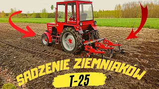 Ręczne Sadzenie ziemniaków Obsypnik i T-25 w akcji