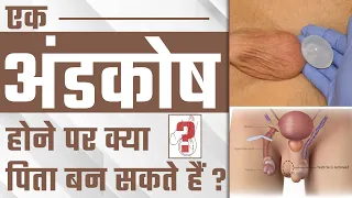 एक अंडकोष होने पर क्या पिता बन सकते हैं ? | Does Single Testicle Cause Low Sperm Count | Dr Health