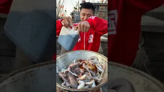 Amazing Eat Seafood Lobster, Crab, Octopus, Giant Snail, Precious Seafood🦐🦀🦑Funny Moments 205