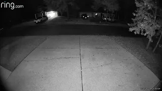 UFO in my driveway