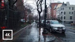 Light Rainfall Walk in Washington DC, Rain and Umbrella Ambience (Farragut West to Adams Morgan)