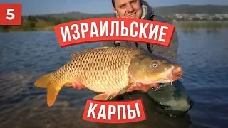 ЛОВЛЯ КРУПНОГО КАРПА в Израиле. Плотвы и окуня на льду в Украине. Рыбалка на балансир. Фидер