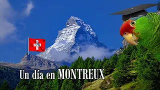 Suiza - Paseando por Montreux - Sept 2021