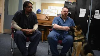 Rehabilitating shelter dogs give Muskegon prisoners a sense of purpose