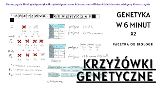 Jak robić krzyżówki genetyczne - Dziedziczenie cech - Biologia [8 Klasa] - Genetyka - Lekcje online