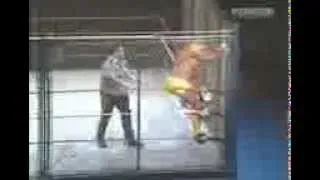 hulk_hogan_vs_big_bossman_steel_cage_match_reg_46358