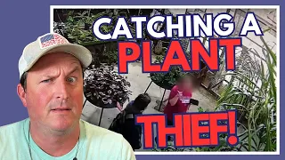 Plant Thief Caught on Camera Stealing Rare Plants!