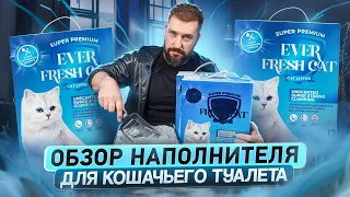 Сравниваем EVER CLEAN и EVER FRESH CAT | Новый комкующийся наполнитель для кошачьего туалета