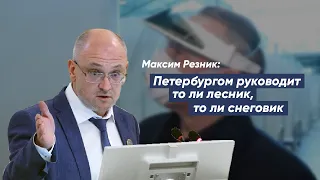 Максим Резник: Петербургом руководит то ли лесник, то ли снеговик