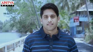 Dashing Diljala Naga Chaitanya Love Scene#1 | Naga Chaitanya, Shruti Hassan, Anupama | Aditya Movies