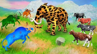 Zombie Bulls Versus Woolly Cheetah Elephant Save Cow Cartoon and Buffalos Animal Fight AnimalMammoth