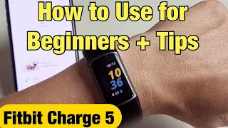 Fitbit Charge 5: How to Use for Beginners + Tips