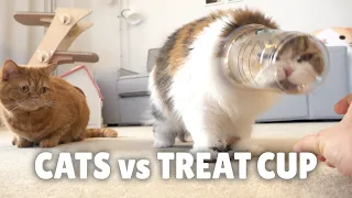 Cats vs Treat Cup | Kittisaurus