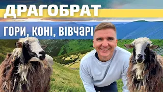 Україна. Карпати. Драгобрат