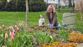 Spring Garden Cleanup & How To Get Astilbe to Bloom Beautifully, April Garden Blooms.