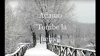 Adamo - Tombe la Neige - for 2 Guitars