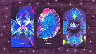 Piensa en una persona ¿Qué pasará entre los dos? 🤔💜 Tarot interactivo 🚀