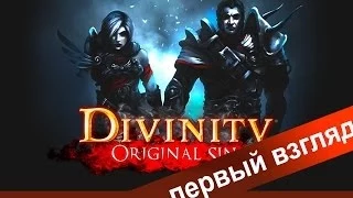 Первый взгляд: DIVINITY ORIGINAL SIN русский язык [Крутая олдскульная RPG]